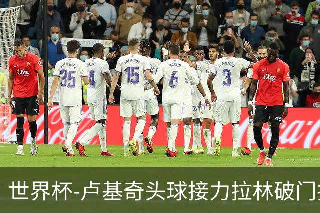 世界杯-卢基奇头球接力拉林破门扳平 加拿大1-1波黑